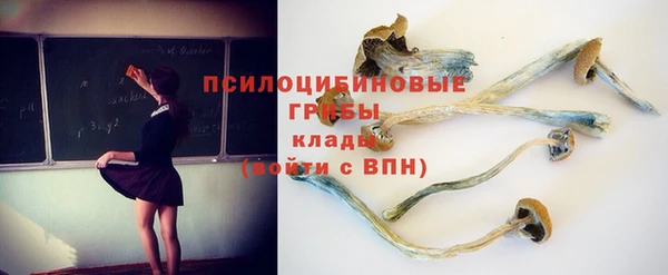 таблы Козловка