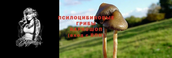 таблы Козловка