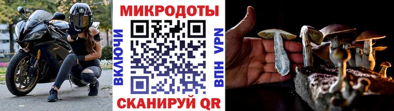 Псилоцибиновые грибы мухоморы  Купить закладки  Кимры 